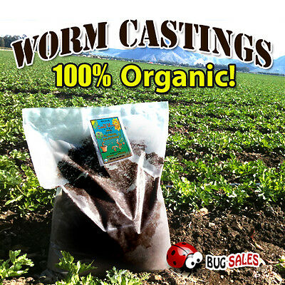 Earthworm Castings 10 Pounds- Natures Soil Amendment