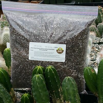 Cactus Mix Soil Blend 1 Gallon Cactus Cacti Succulent Real Live Plant