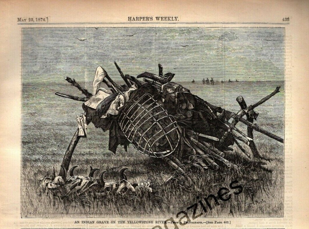 1874 Harpers Weekly - May 23 - Indian Grave On Yellowstone River Original Print